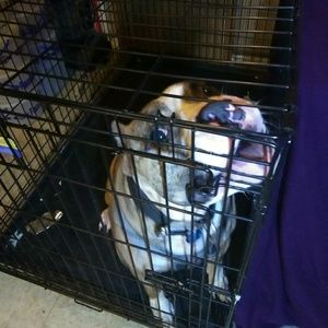 Meet your Posher, Larry